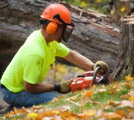 tree services Raymore